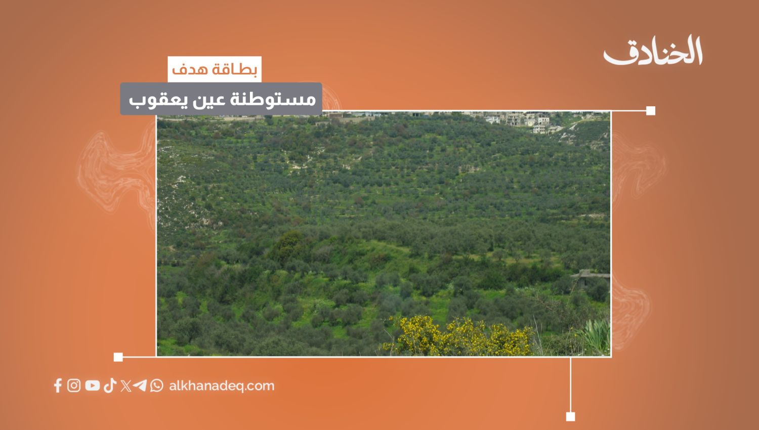 بطاقة هدف: مستوطنة عين يعقوب