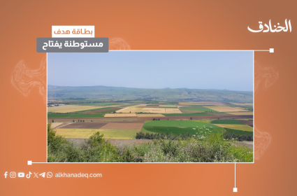 بطاقة هدف: مستوطنة يفتاح